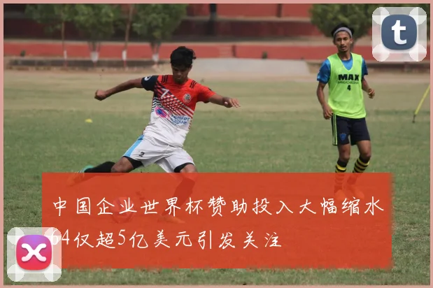 中国企业世界杯赞助投入大幅缩水64仅超5亿美元引发关注