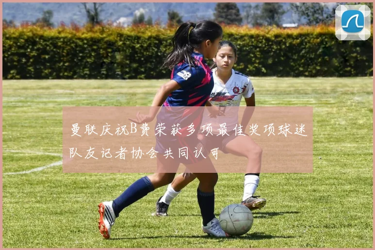 曼联庆祝B费荣获多项最佳奖项球迷队友记者协会共同认可